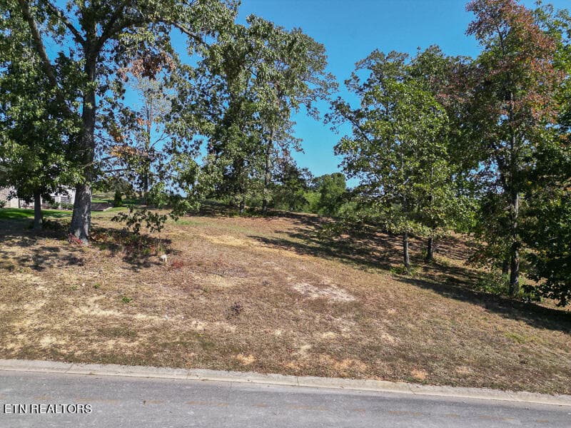 605 Gallery Court, Lenoir City, TN 37772