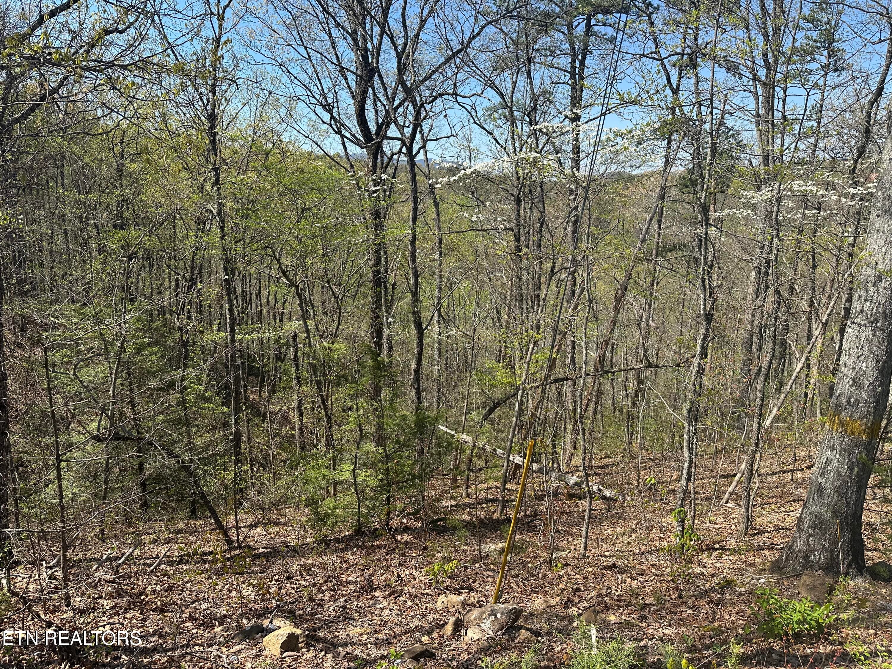 1532 Mountain Dreams Way, Pigeon Forge, TN 37862
