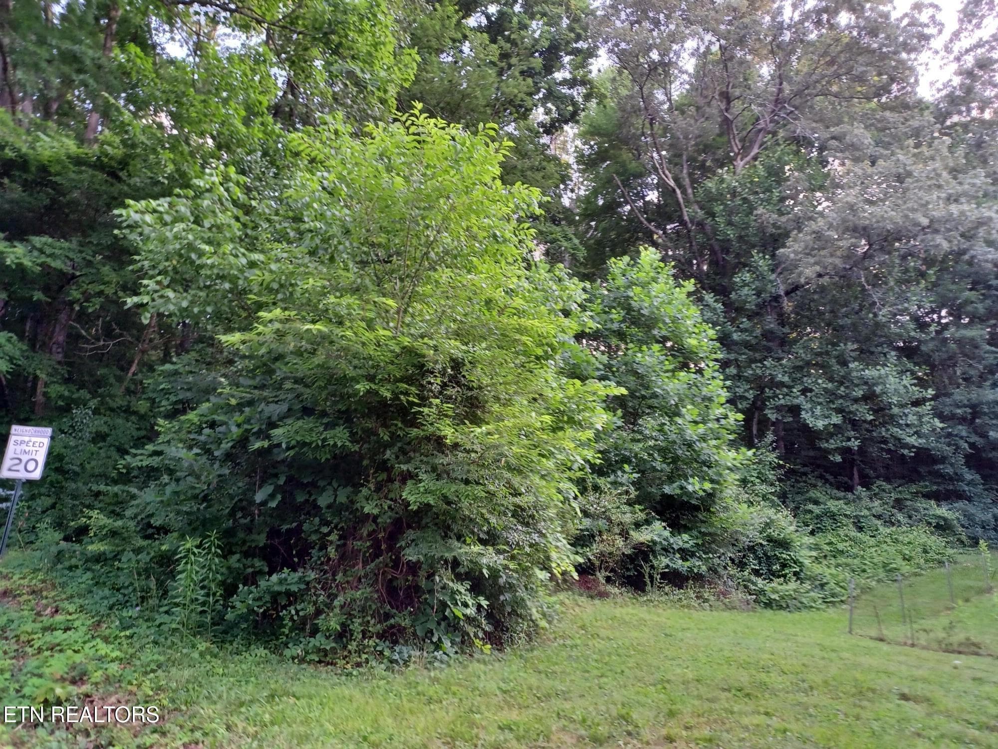 2732 Willocks Ave, Maryville, TN 37804