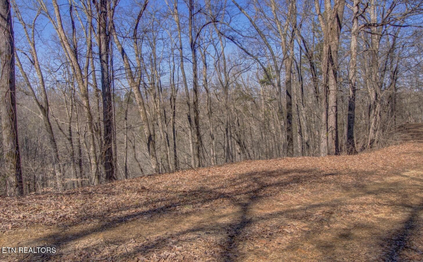 4575 Crooked Creek Way, Maryville, TN 37803