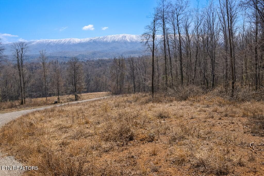 3419 Boone Docks Way, Maryville, TN 37803