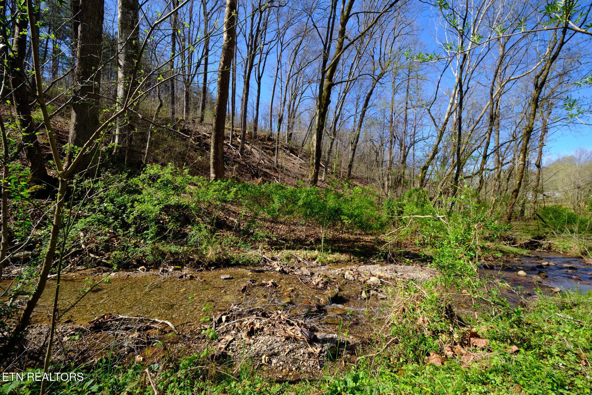 3212 Long Hollow Rd, Powell, TN 37849