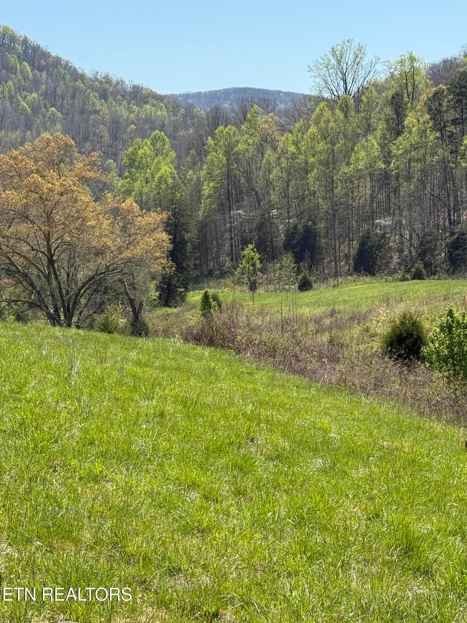 0000 Goshen Valley (65 acres) Rd, Church Hill, TN 37642