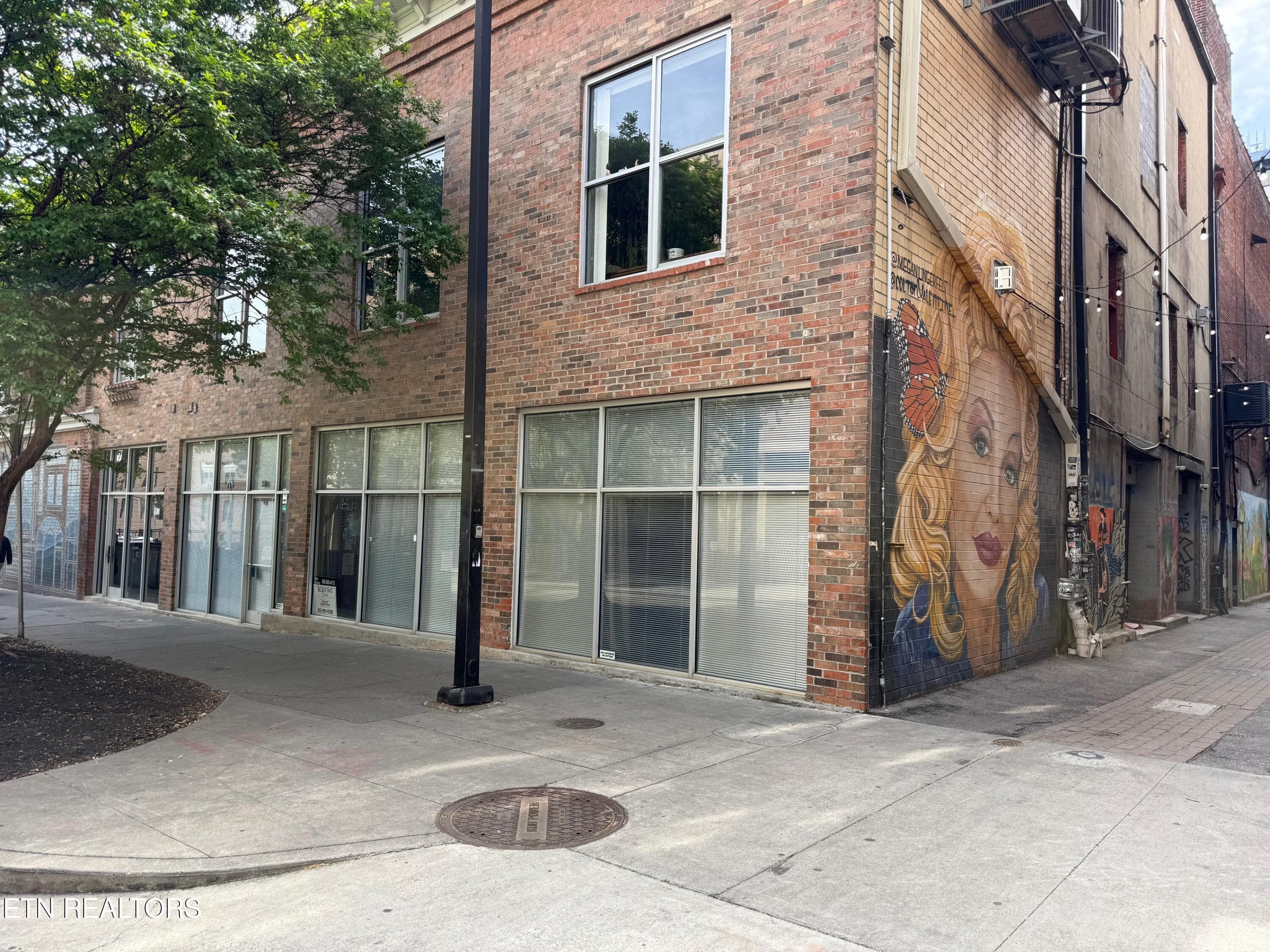 306 Wall Ave 12, Knoxville, TN 37902