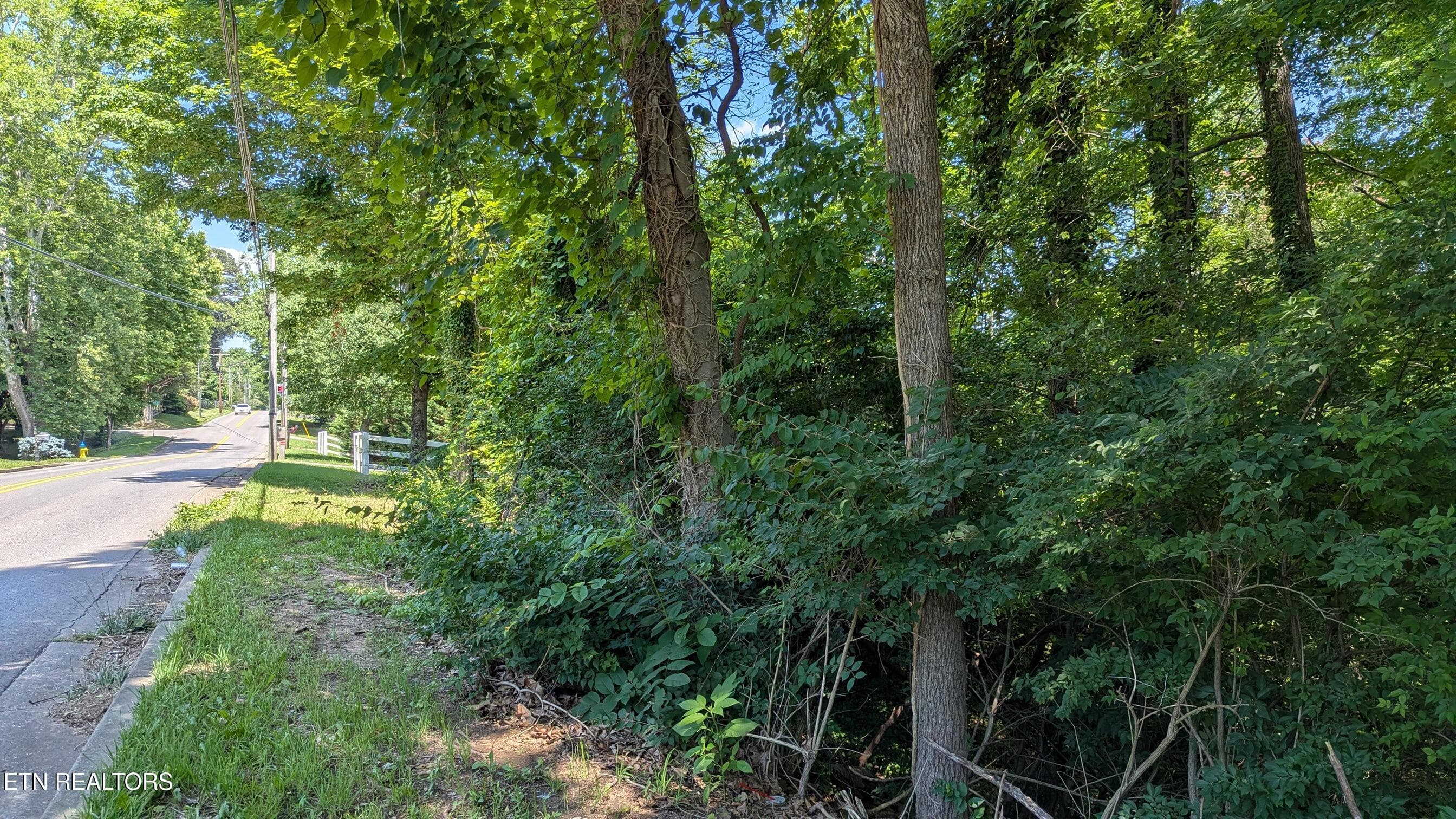 Cedar Lane, Knoxville, TN 37918