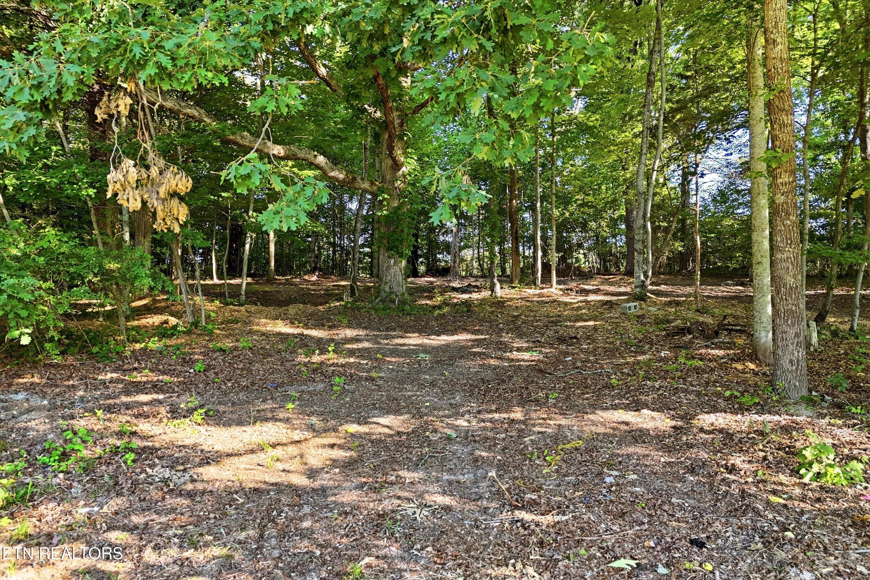 Daniels Rd A, Knoxville, TN 37938