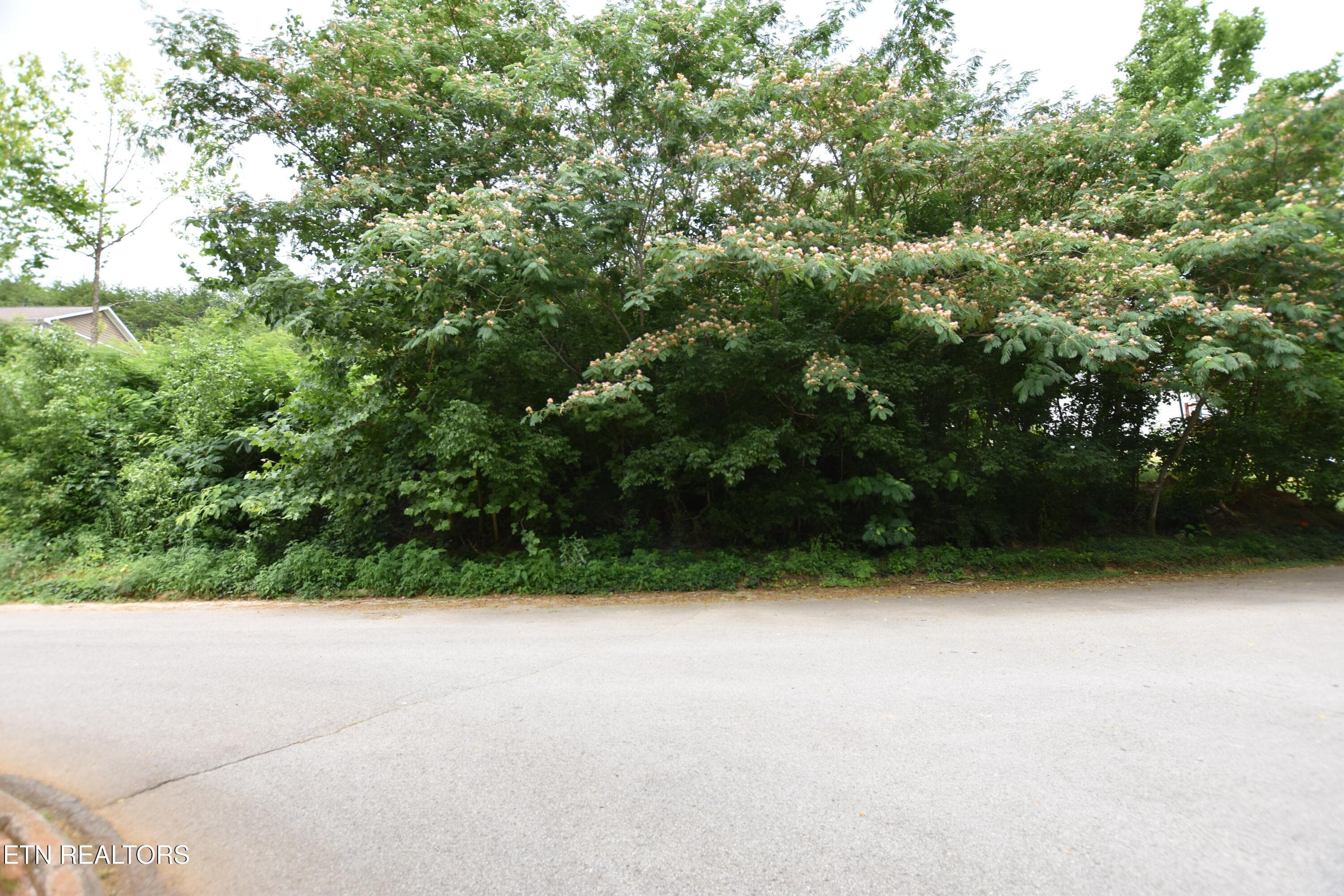 7139 Remagen Lane, Knoxville, TN 37920