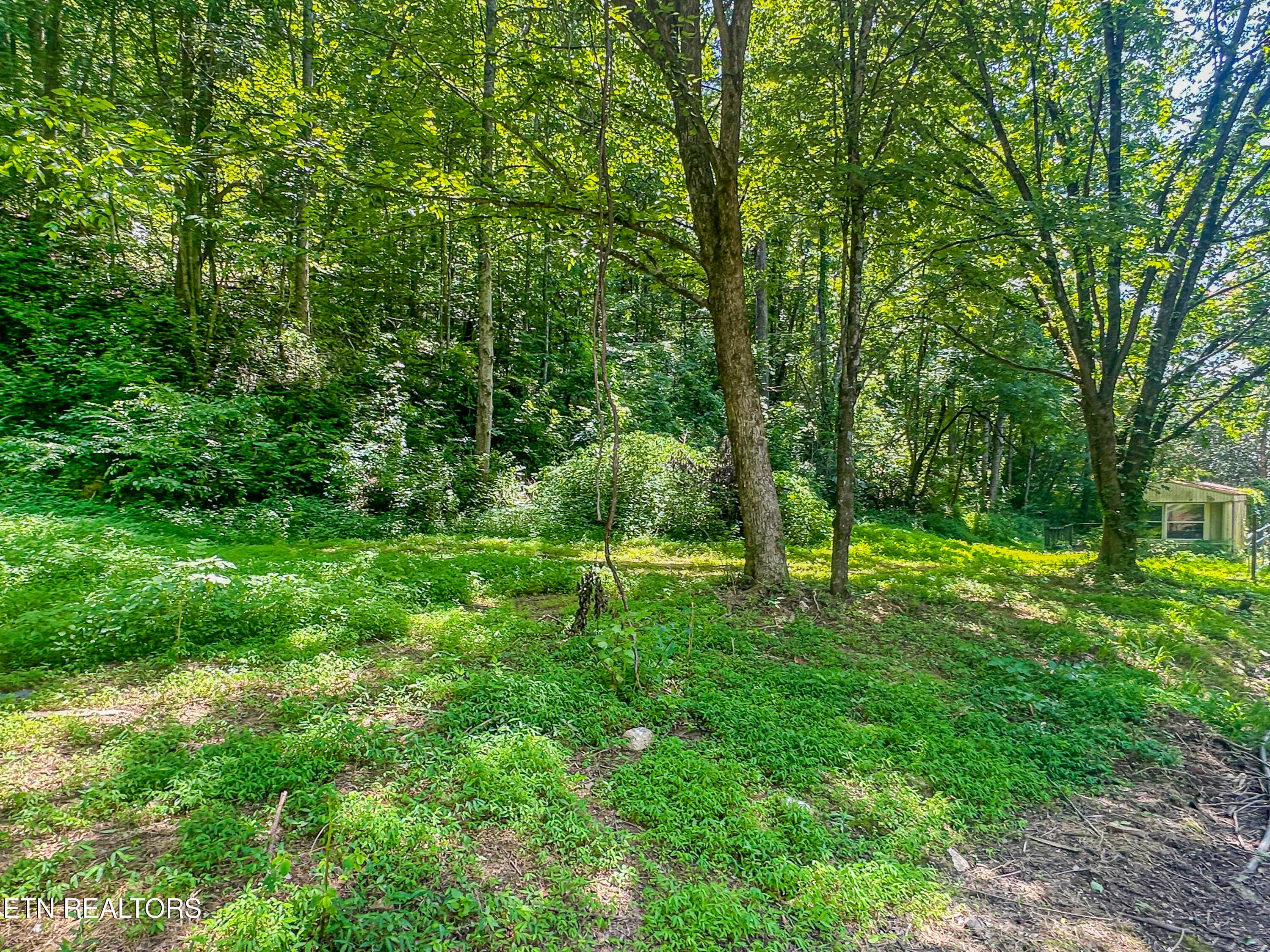 9109 Pickens Gap Rd, Knoxville, TN 37920